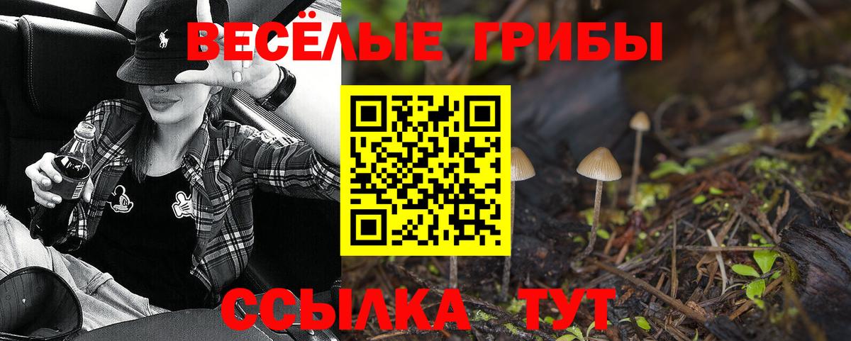 сколько стоит  Вход с VPN  Татарск  Псилоцибиновые грибы Magic Shrooms 